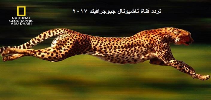 تردد قناة ناشيونال جيوجرافيك أبو ظبي 2017 National Geographic
