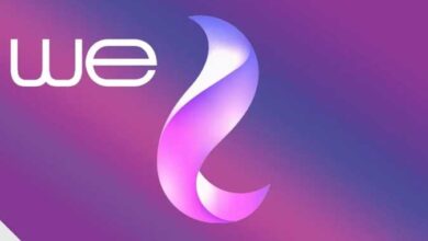 المصرية للاتصالات وى