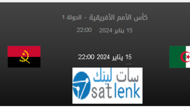 مباراة الجزائر و أنجولا