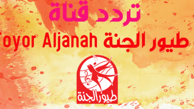 استقبال تردد قناة طيور الجنة Toyor Aljanah بعد التحديث جديد